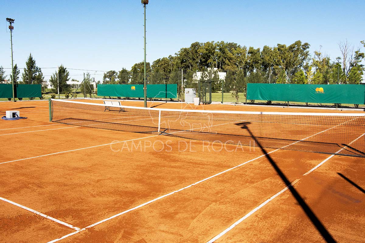 Campos de Roca
