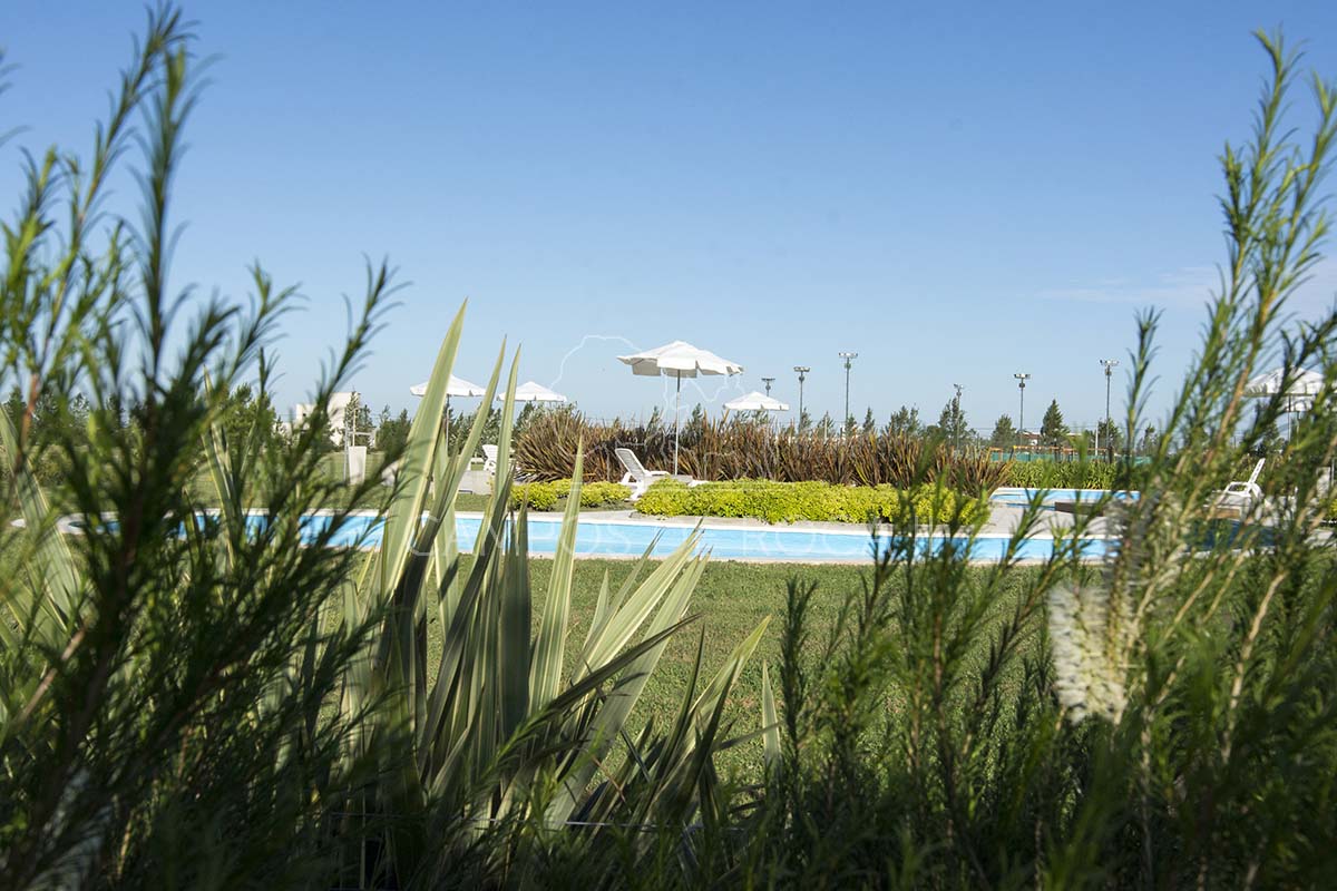 Campos de Roca