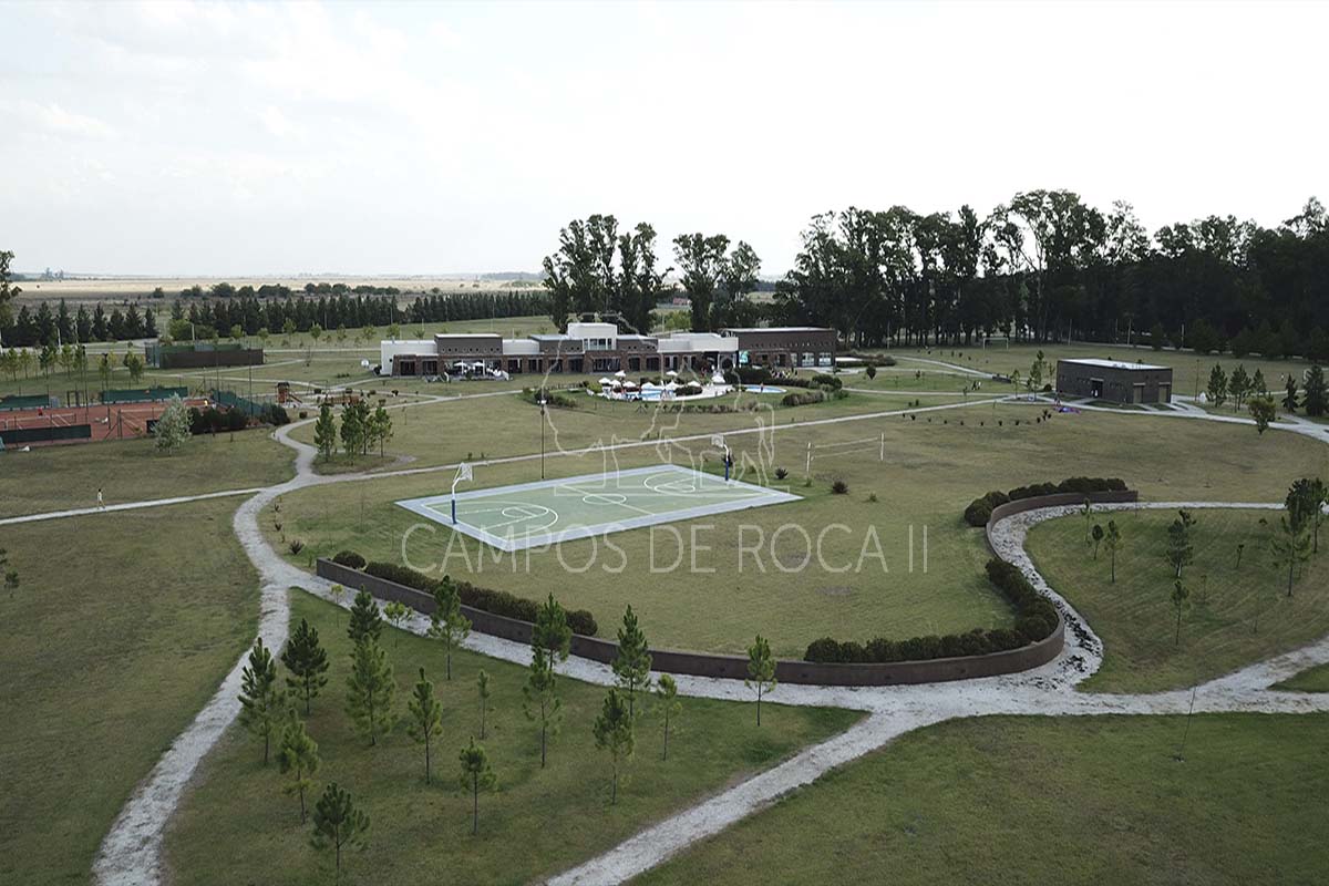 Campos de Roca