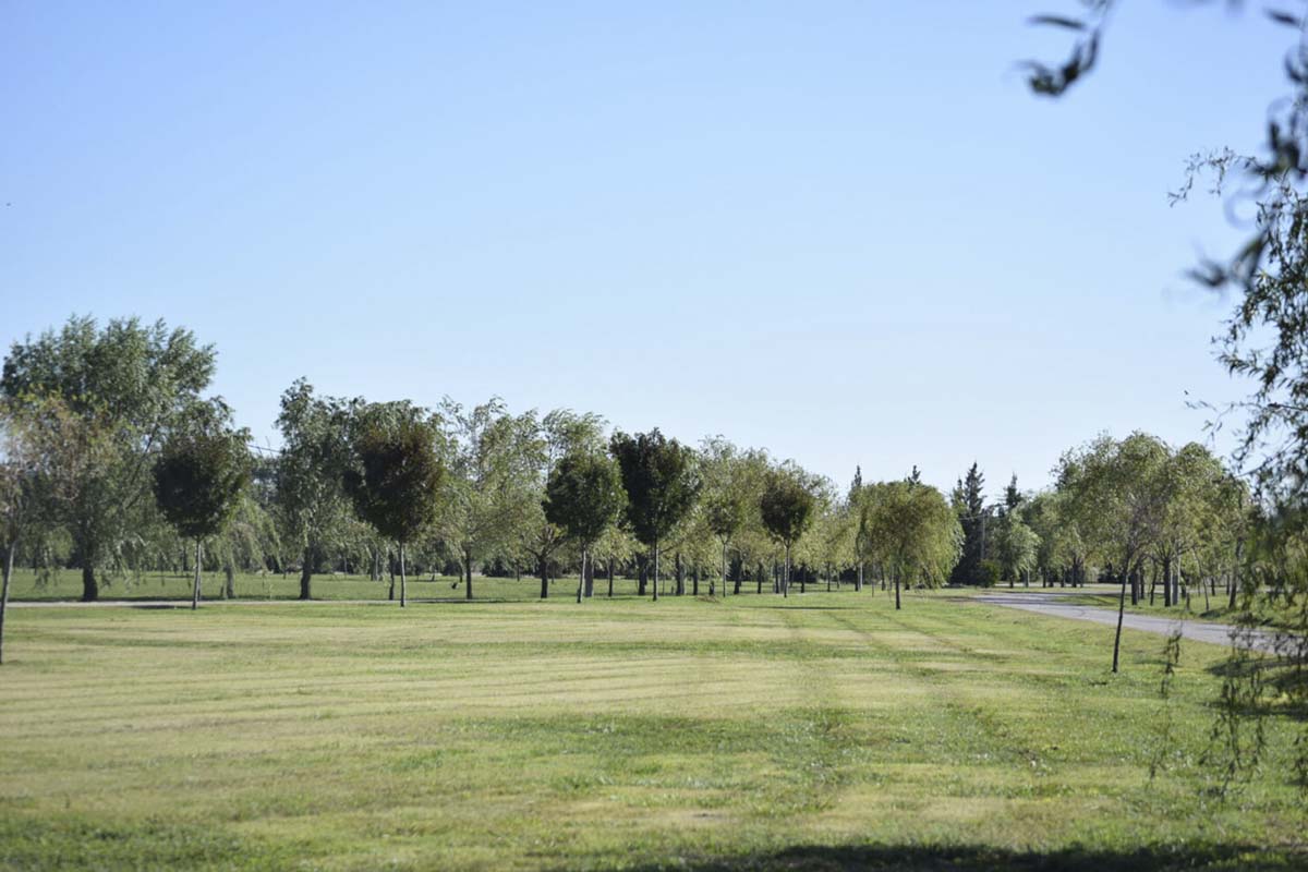 Campos de Roca